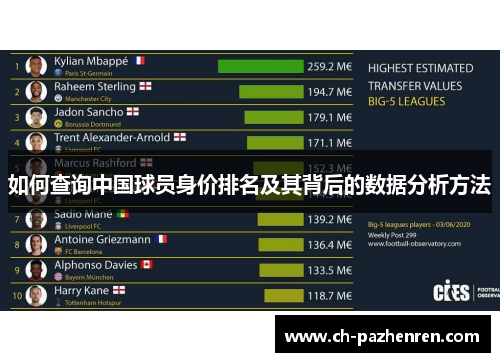 如何查询中国球员身价排名及其背后的数据分析方法