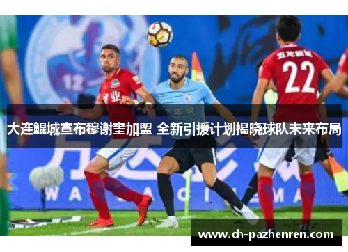 大连鲲城宣布穆谢奎加盟 全新引援计划揭晓球队未来布局