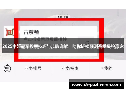 2025中超冠军投票技巧与步骤详解，助你轻松预测赛季最终赢家