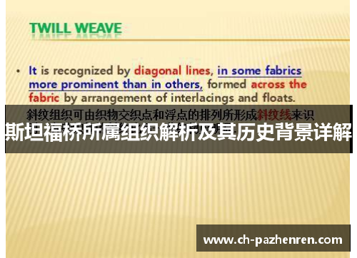 斯坦福桥所属组织解析及其历史背景详解