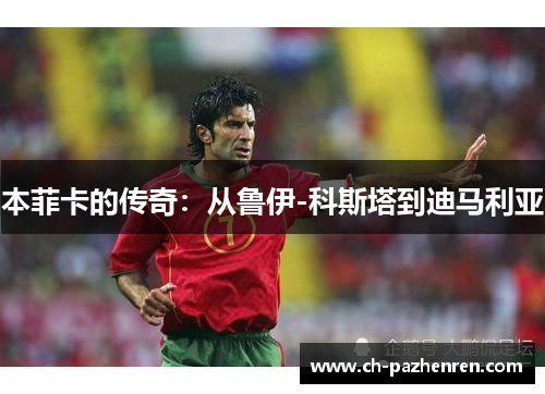 本菲卡的传奇：从鲁伊-科斯塔到迪马利亚