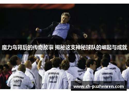 魔力鸟背后的传奇故事 揭秘这支神秘球队的崛起与成就