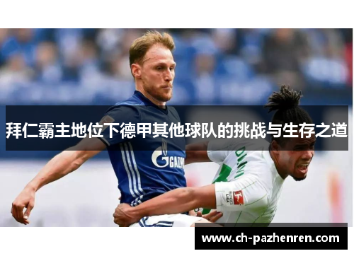 拜仁霸主地位下德甲其他球队的挑战与生存之道